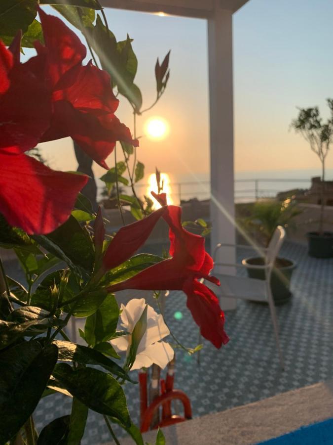 La Piazza Beb Bed and Breakfast Tropea Eksteriør billede